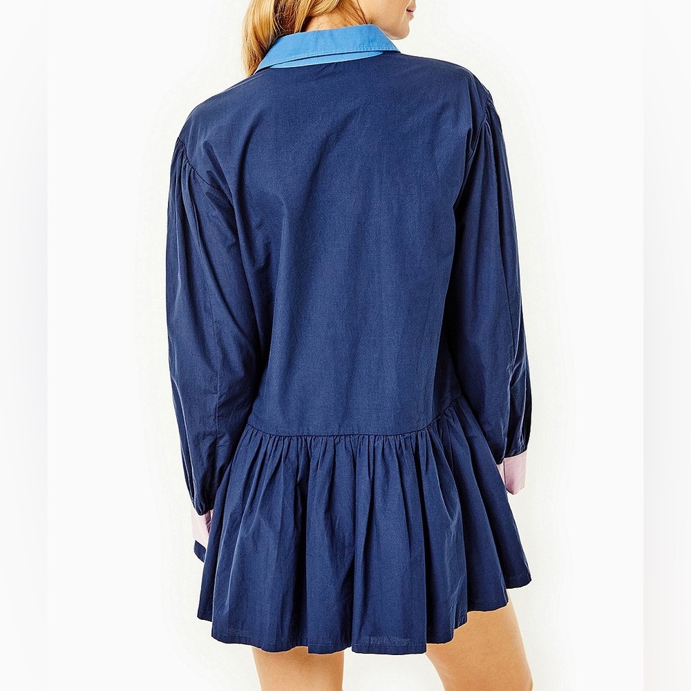 NWT Addison Bay Lane Color Block Point Collar Peplum Dropped Waist Flounce Dress - Picture 5 of 10